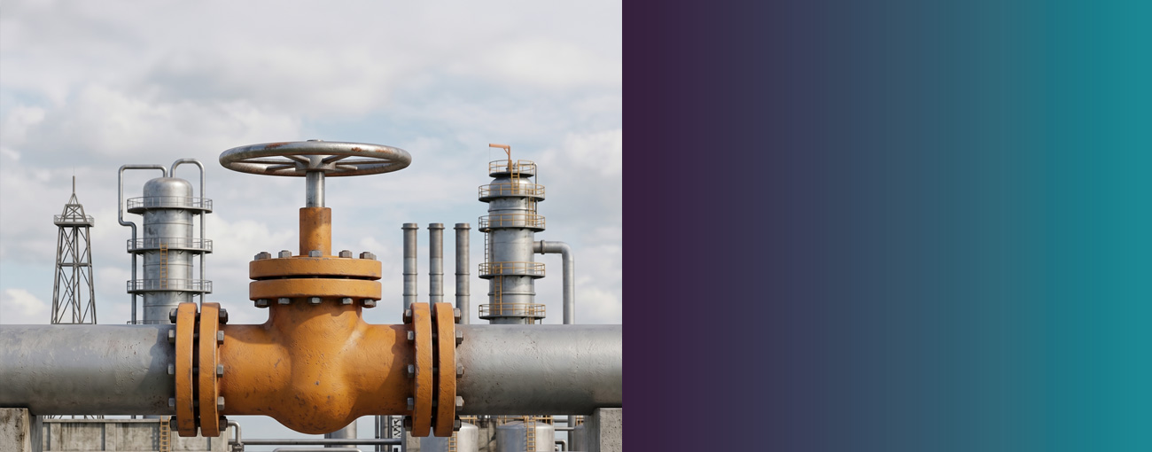 Passing on Rising Energy Costs: Contractual Responses to Oil Price Volatility